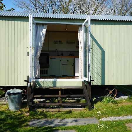 Hillcrest Hut Apartment Tenby Bagian luar foto