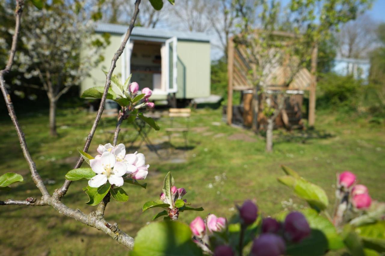 Hillcrest Hut Apartment Tenby Bagian luar foto
