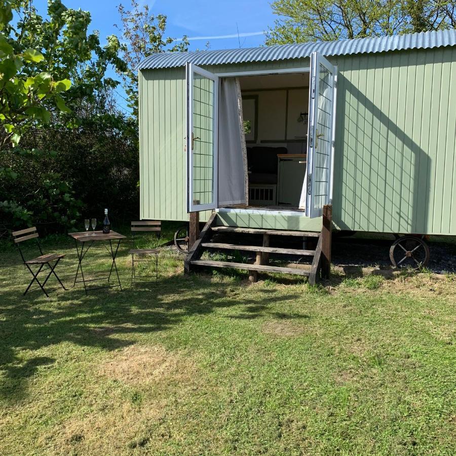Hillcrest Hut Apartment Tenby Bagian luar foto