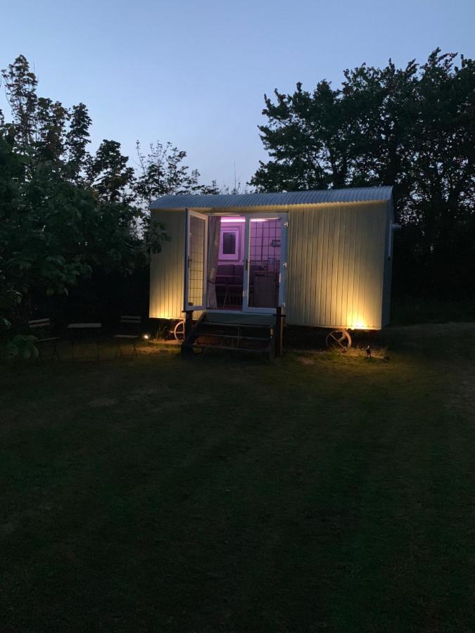 Hillcrest Hut Apartment Tenby Bagian luar foto