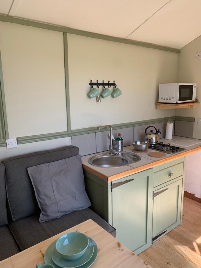Hillcrest Hut Apartment Tenby Bagian luar foto