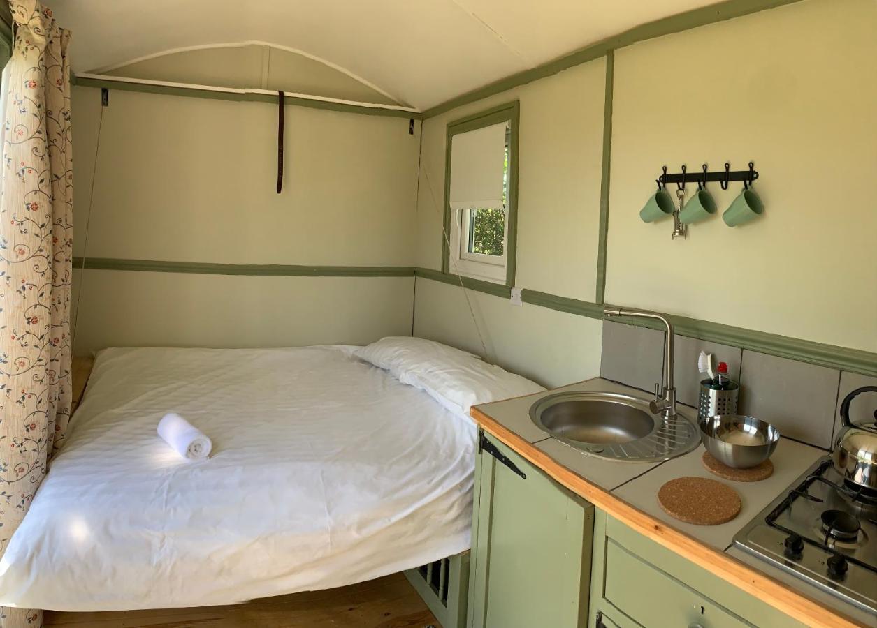 Hillcrest Hut Apartment Tenby Bagian luar foto