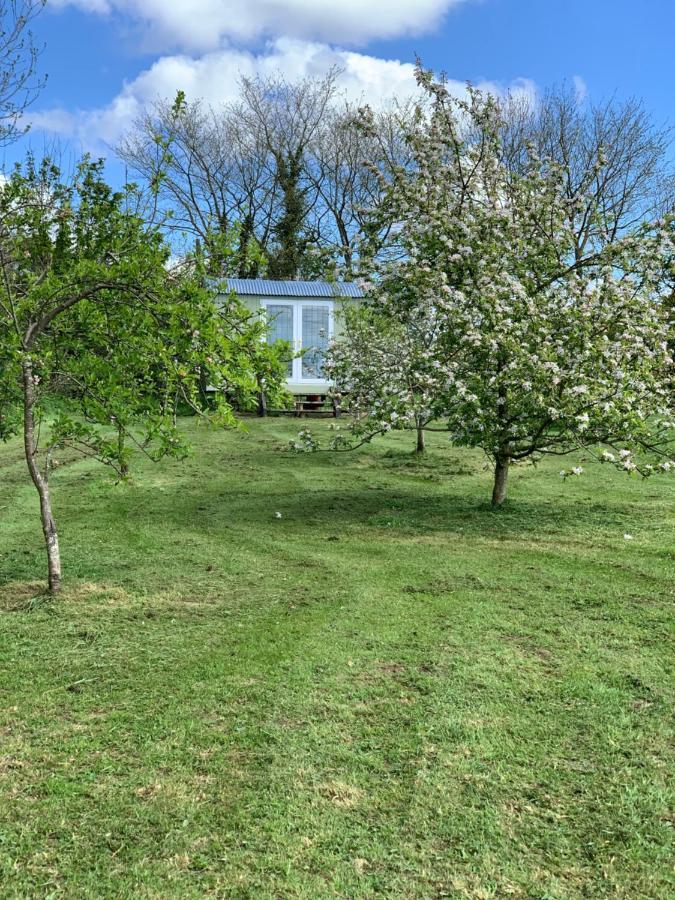 Hillcrest Hut Apartment Tenby Bagian luar foto