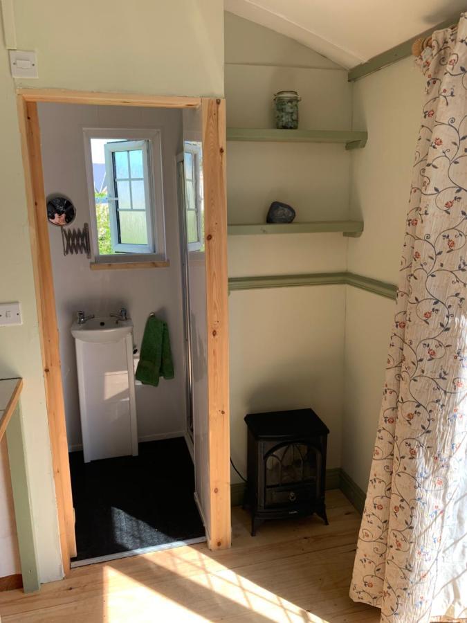 Hillcrest Hut Apartment Tenby Bagian luar foto